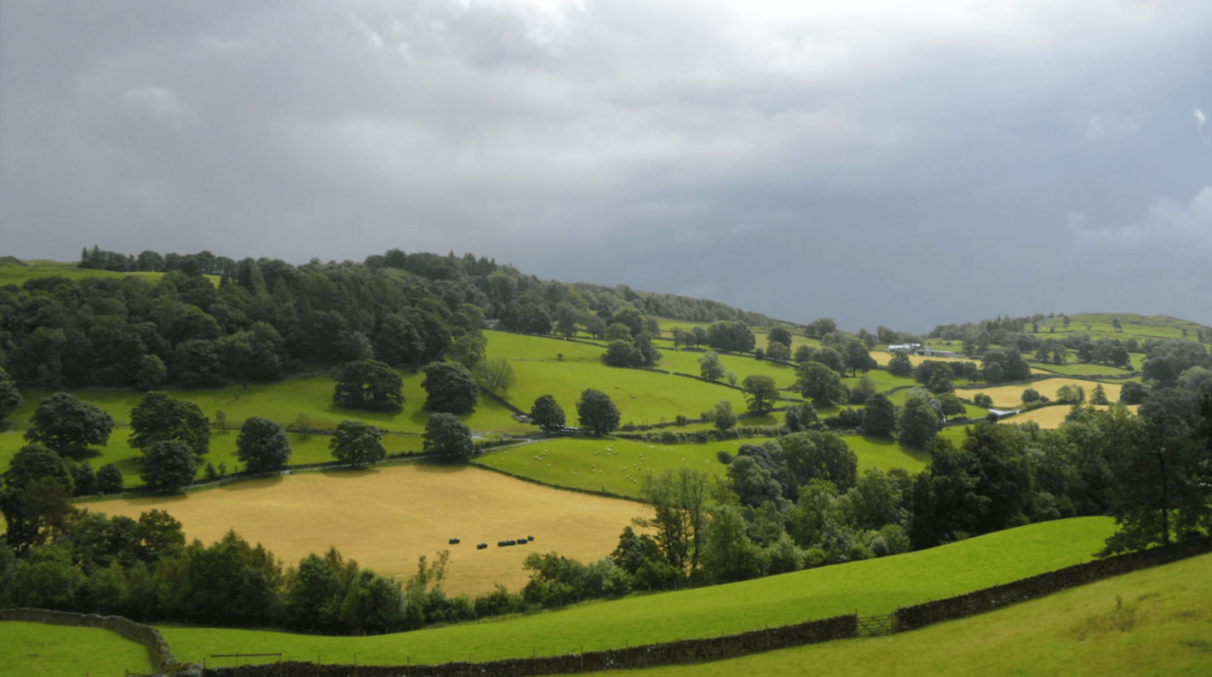 pilgrim way, pembrokeshire, nature